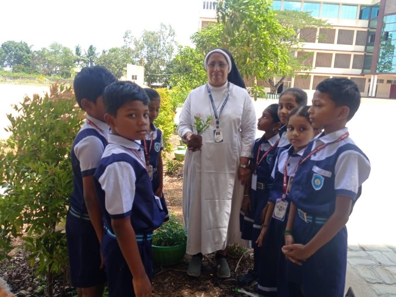 world environment day